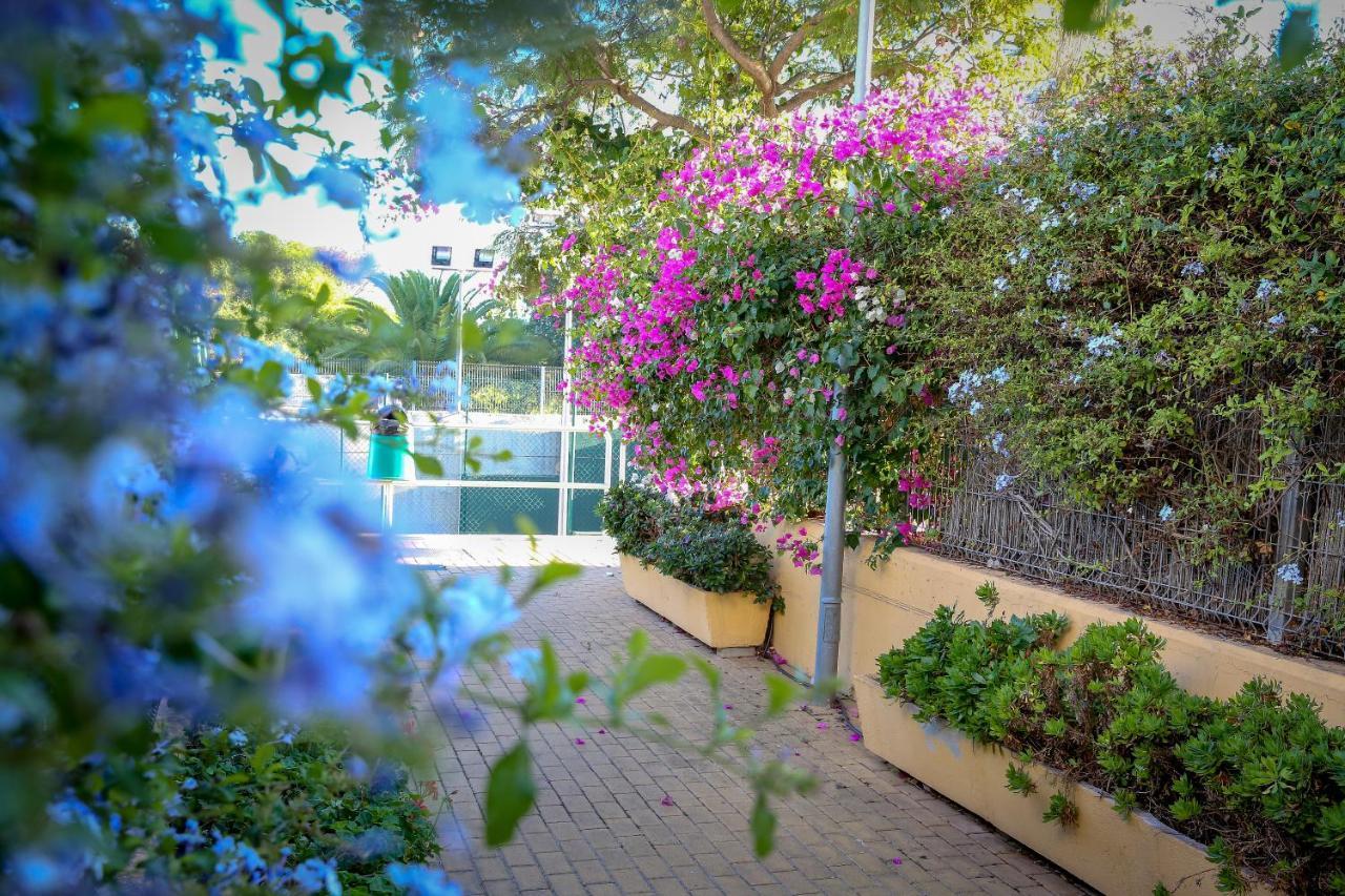 Montesol Home - Parking Gratis Ayamonte Exterior photo